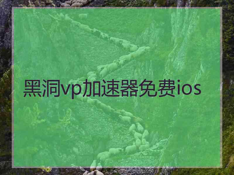 黑洞vp加速器免费ios