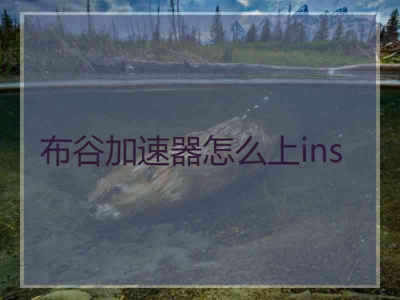 布谷加速器怎么上ins
