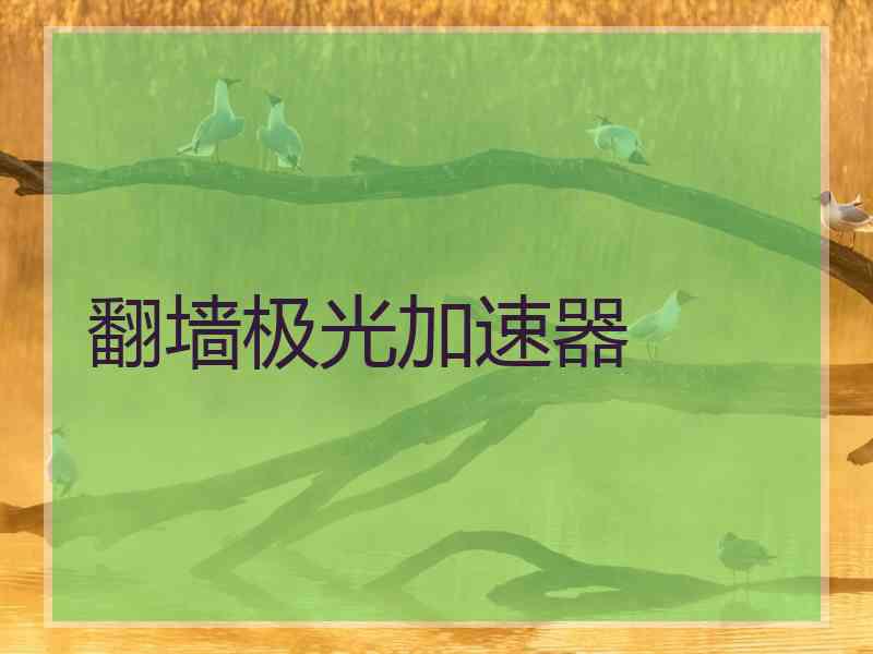 翻墙极光加速器