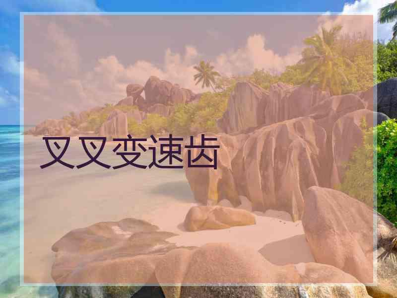 叉叉变速齿