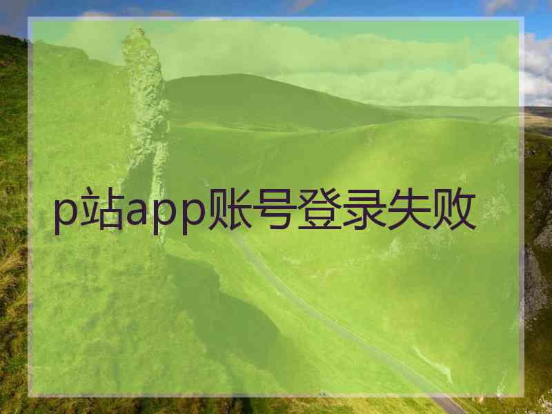 p站app账号登录失败