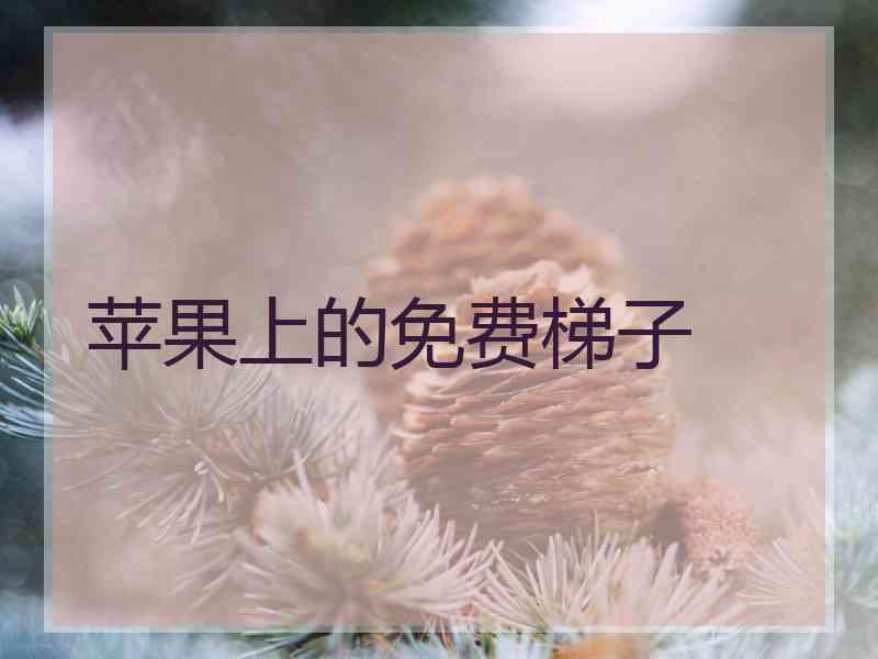 苹果上的免费梯子