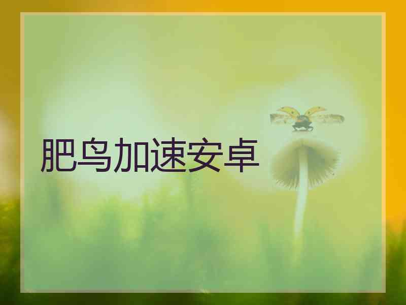 肥鸟加速安卓