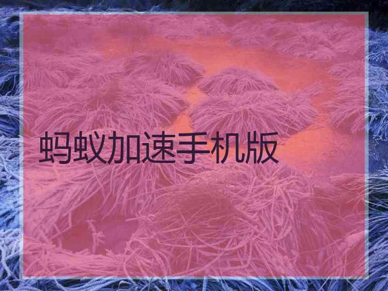 蚂蚁加速手机版