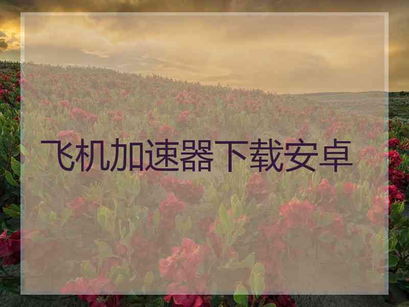 飞机加速器下载安卓