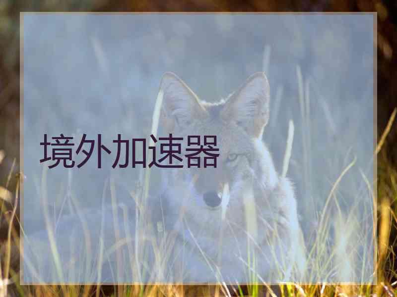 境外加速器