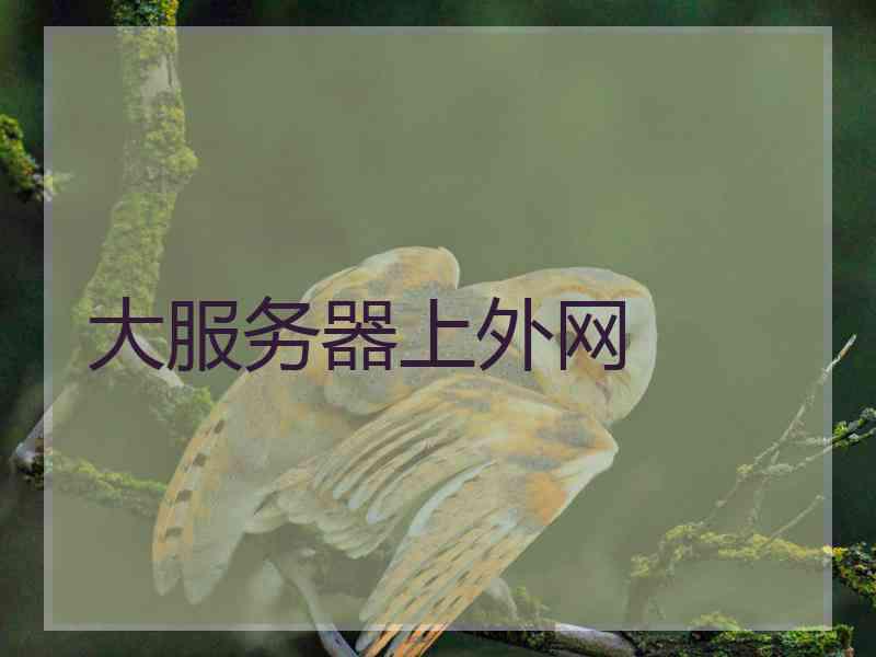 大服务器上外网