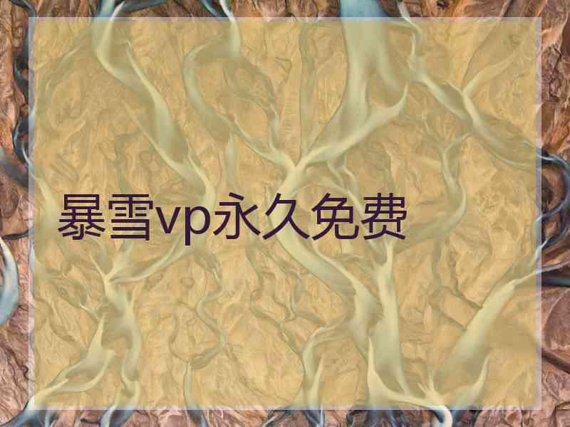 暴雪vp永久免费
