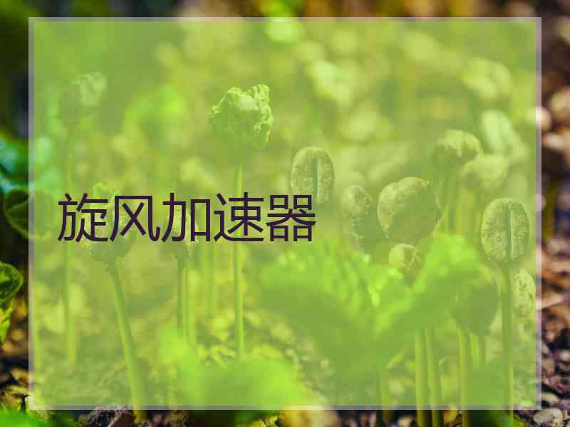旋风加速器