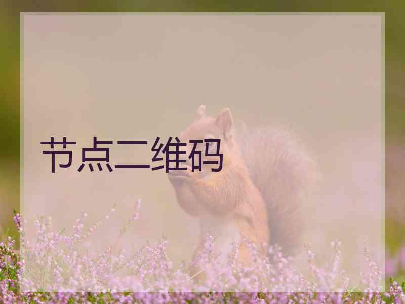 节点二维码