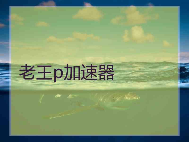 老王p加速器