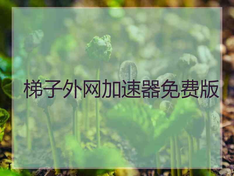 梯子外网加速器免费版