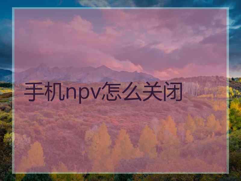 手机npv怎么关闭