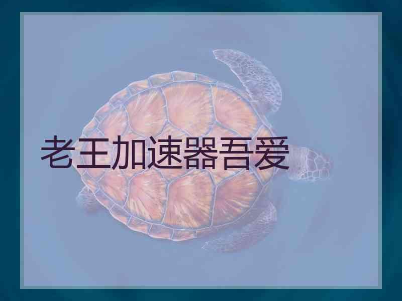 老王加速器吾爱