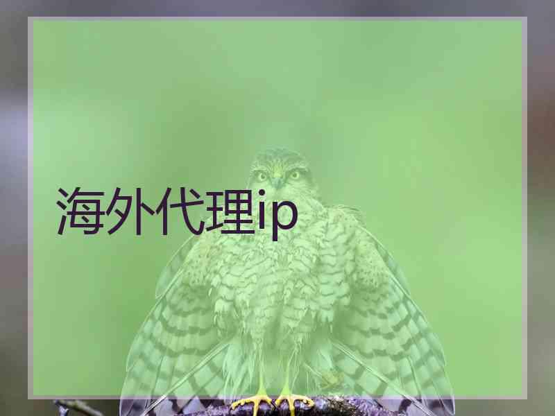 海外代理ip