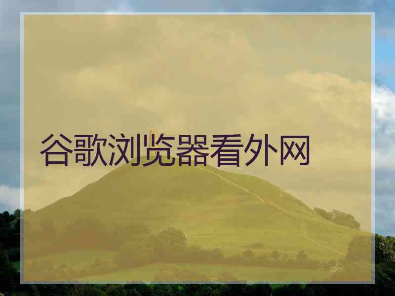 谷歌浏览器看外网