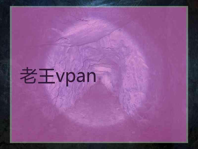 老王vpan