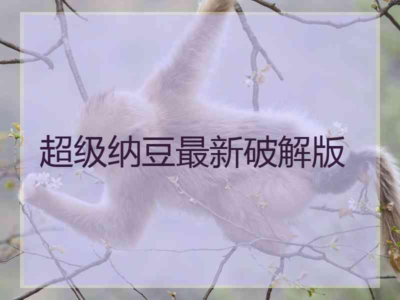 超级纳豆最新破解版