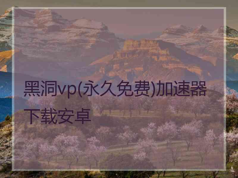 黑洞vp(永久免费)加速器下载安卓