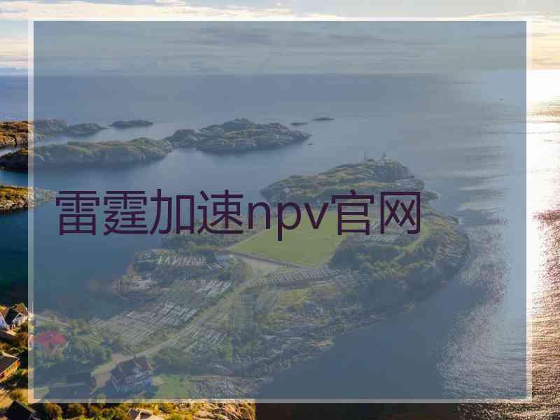 雷霆加速npv官网