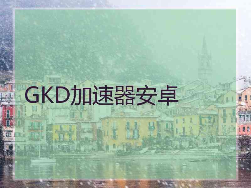 GKD加速器安卓