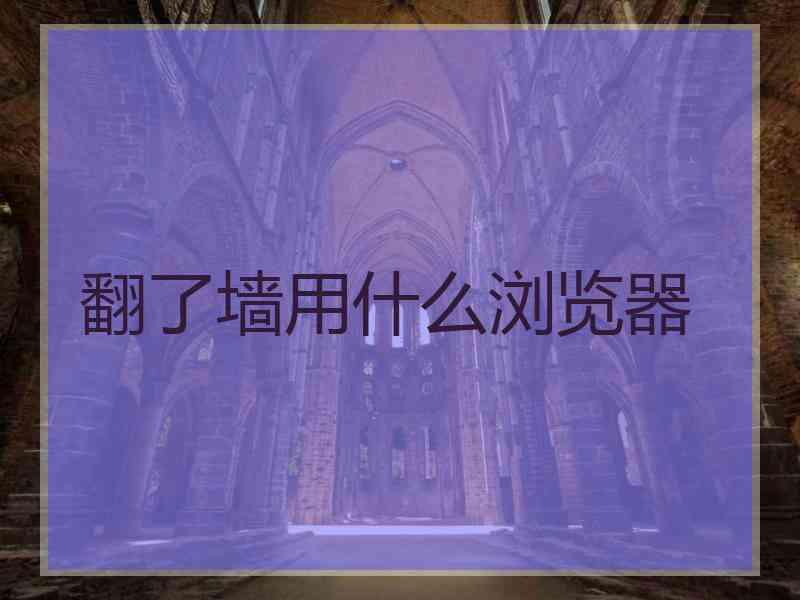翻了墙用什么浏览器
