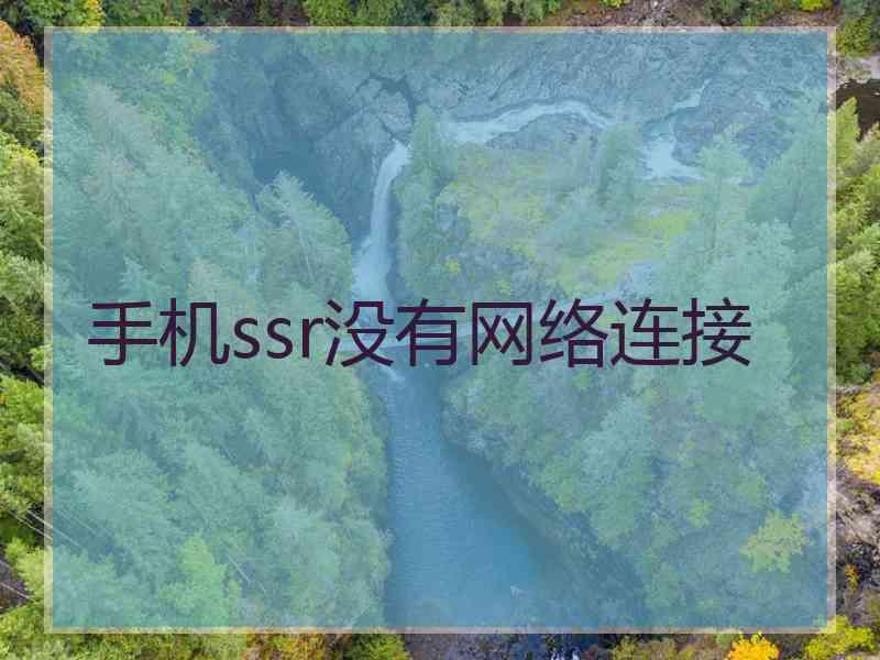 手机ssr没有网络连接
