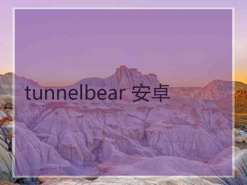 tunnelbear 安卓