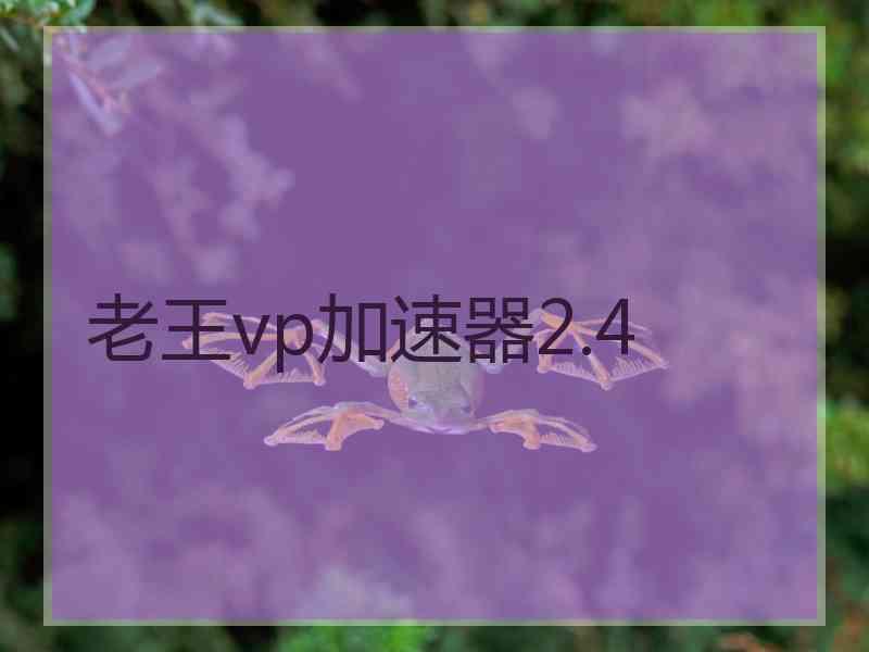 老王vp加速器2.4