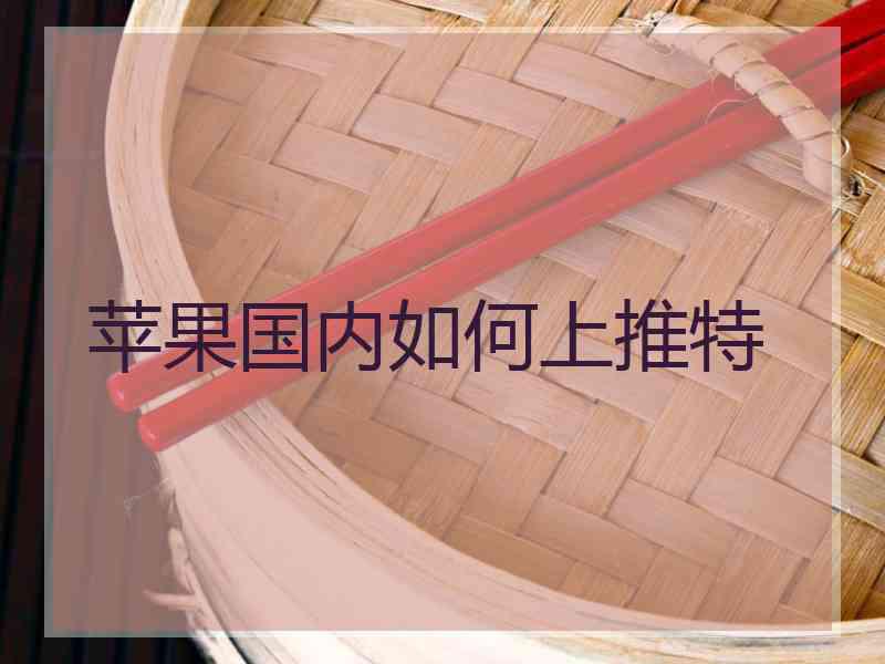 苹果国内如何上推特
