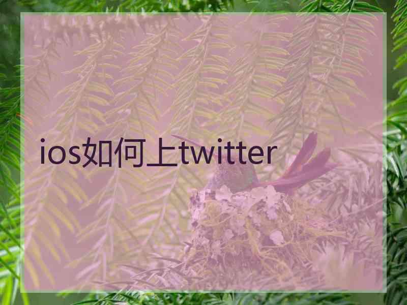 ios如何上twitter