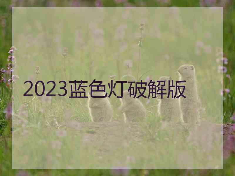 2023蓝色灯破解版