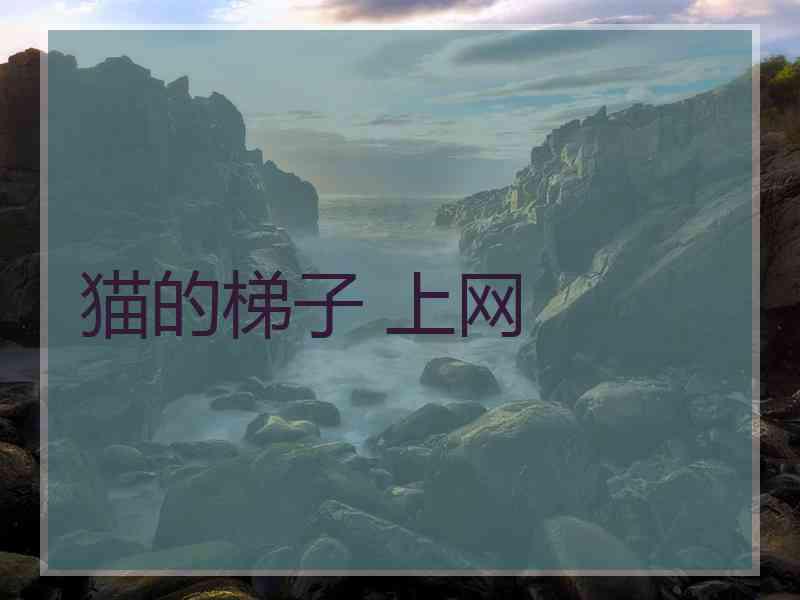 猫的梯子 上网