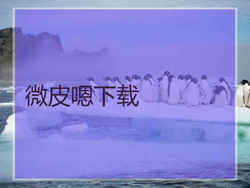 微皮嗯下载