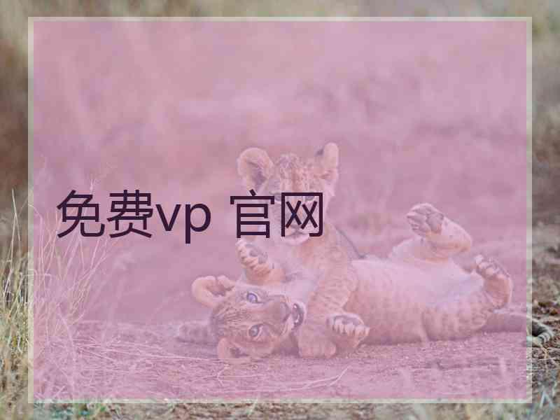 免费vp 官网