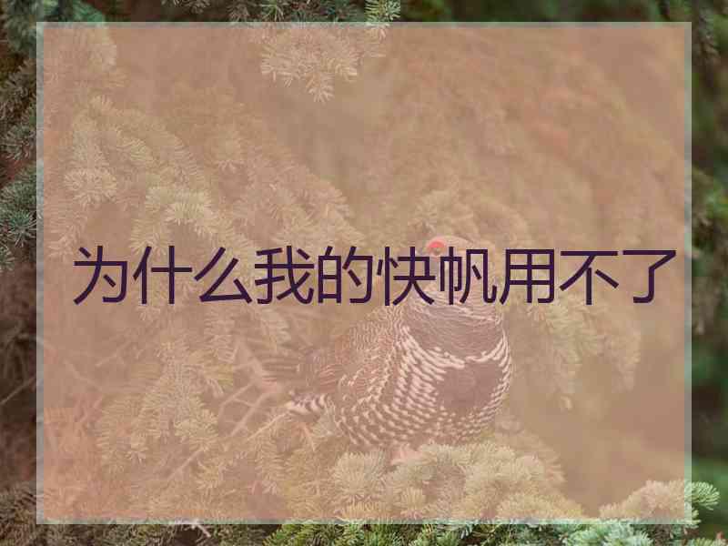 为什么我的快帆用不了