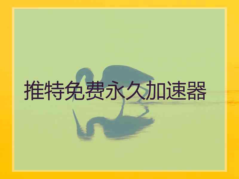 推特免费永久加速器
