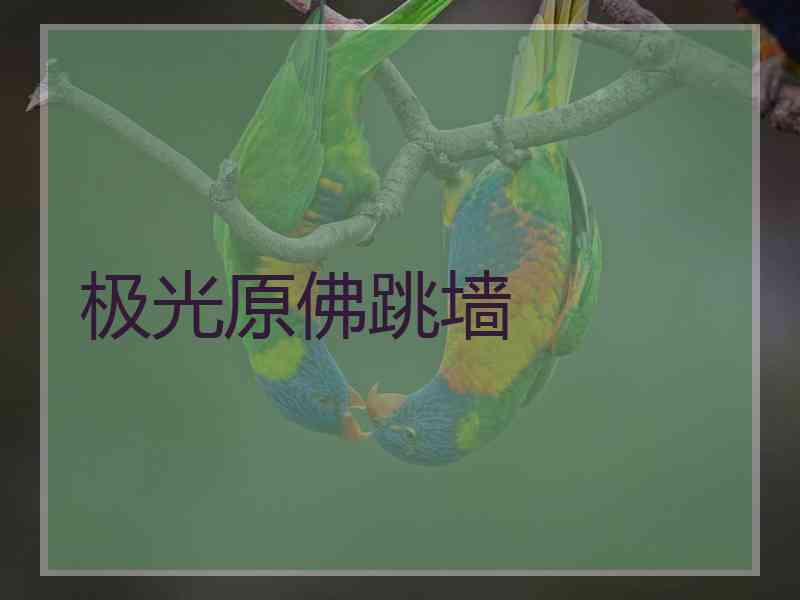 极光原佛跳墙