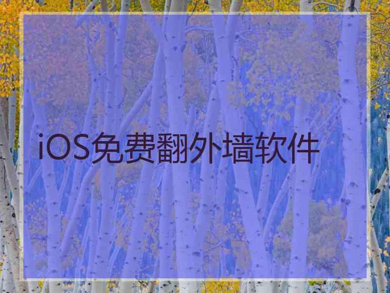 iOS免费翻外墙软件