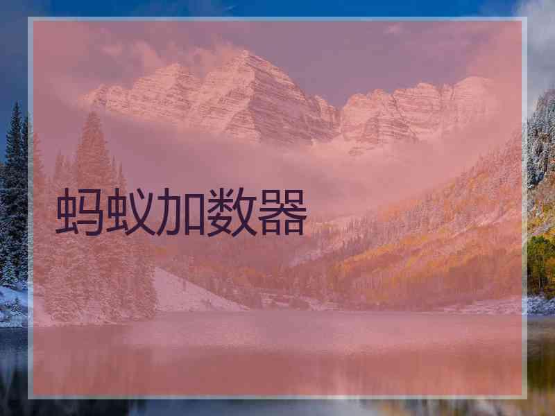 蚂蚁加数器