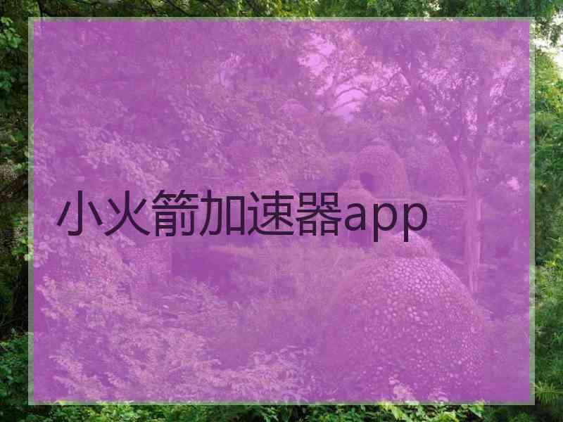 小火箭加速器app