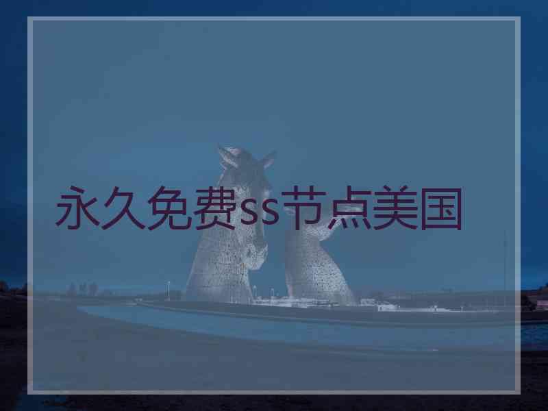 永久免费ss节点美国