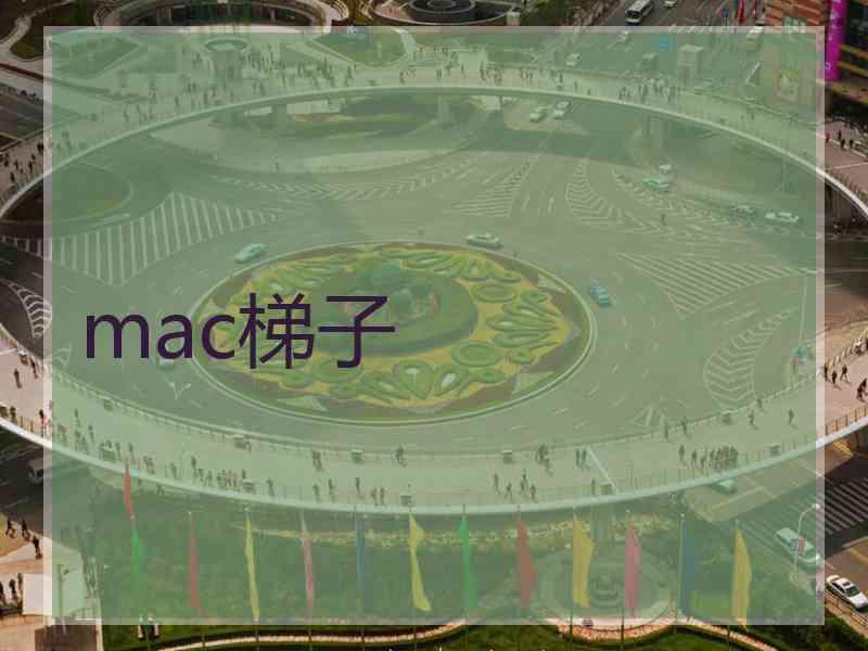 mac梯子
