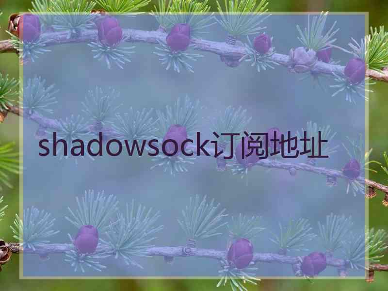 shadowsock订阅地址
