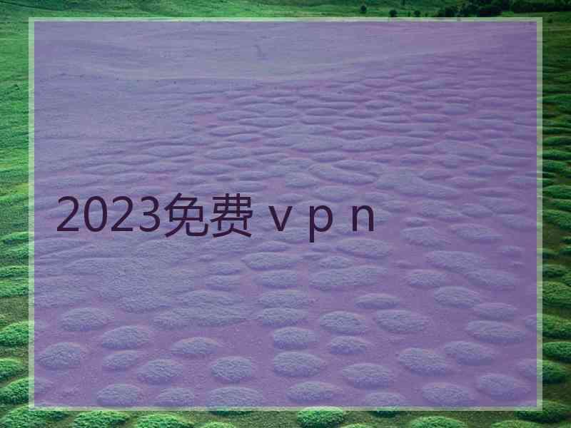 2023免费 v p n