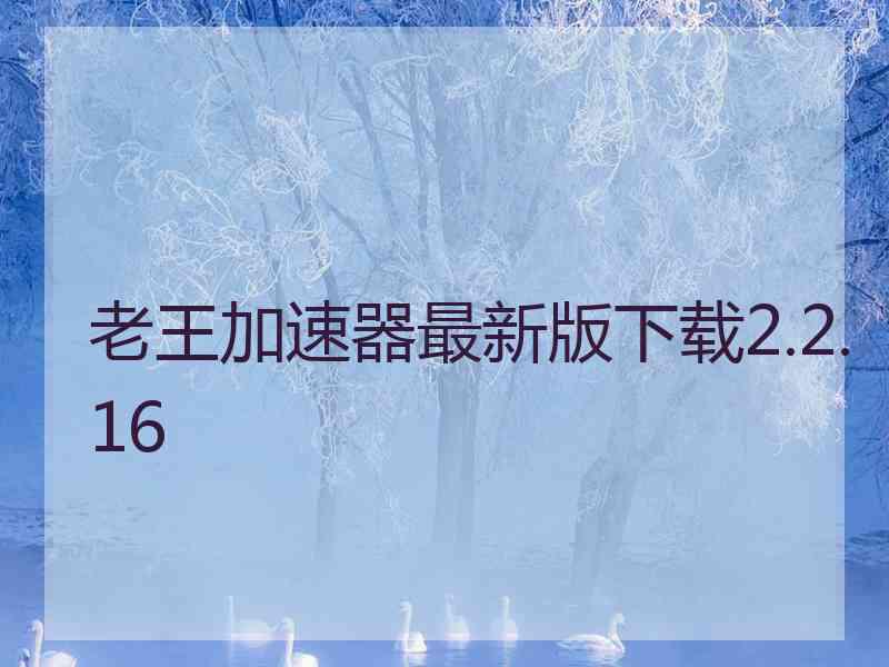 老王加速器最新版下载2.2.16