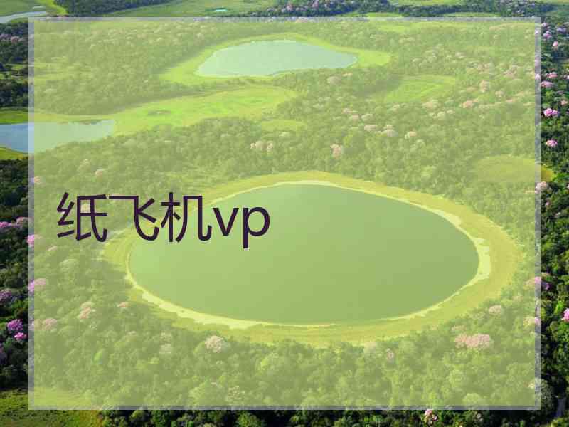 纸飞机vp