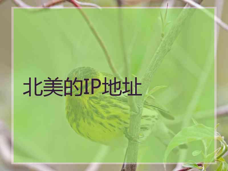 北美的IP地址