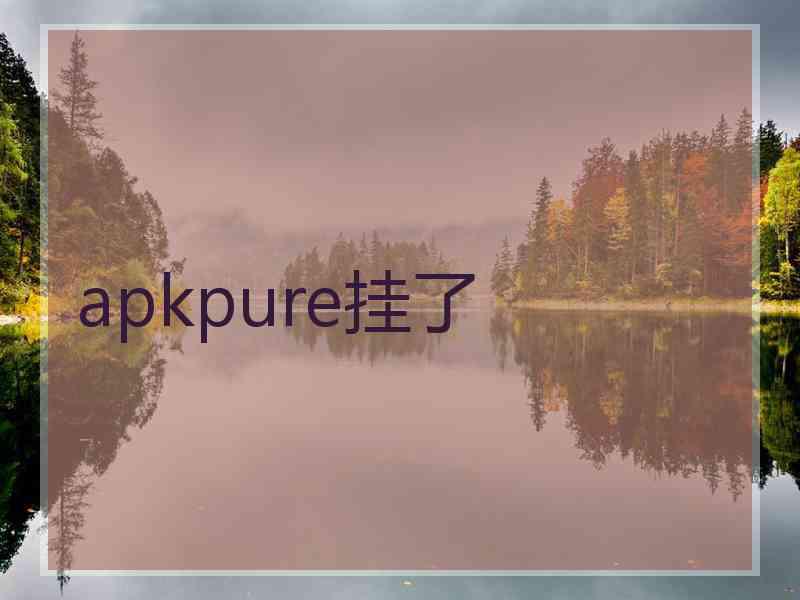 apkpure挂了