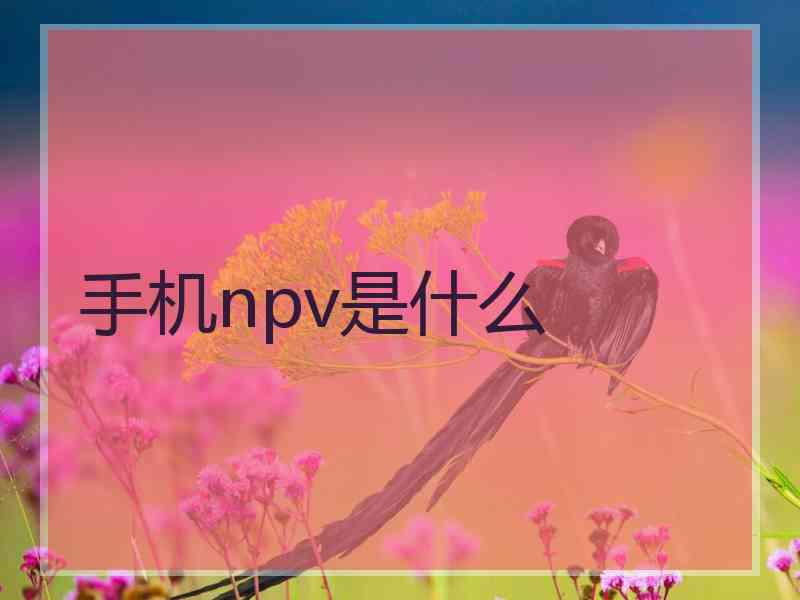 手机npv是什么